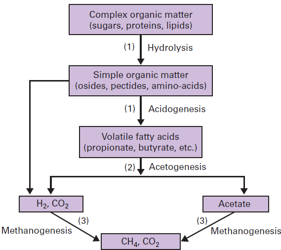 Methanogenesis biochemistry and microbiology - Degremont®