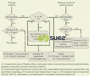 Disinfecting primary wastewater